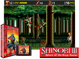 Shinobi III